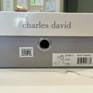 Beautiful CHARLES DAVID Icon shoes